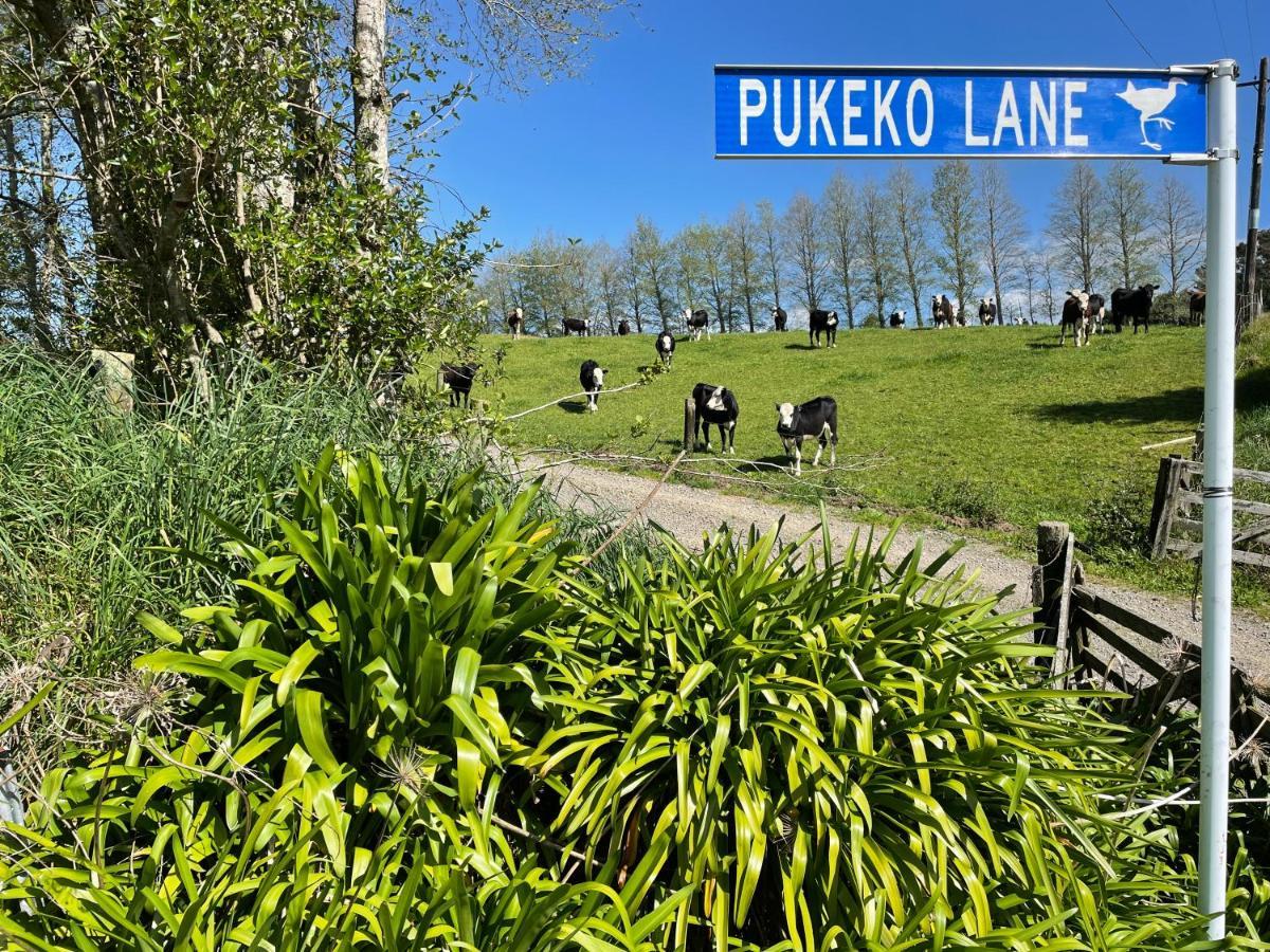 Ferienwohnung Pukeko Lane Tauranga Exterior foto